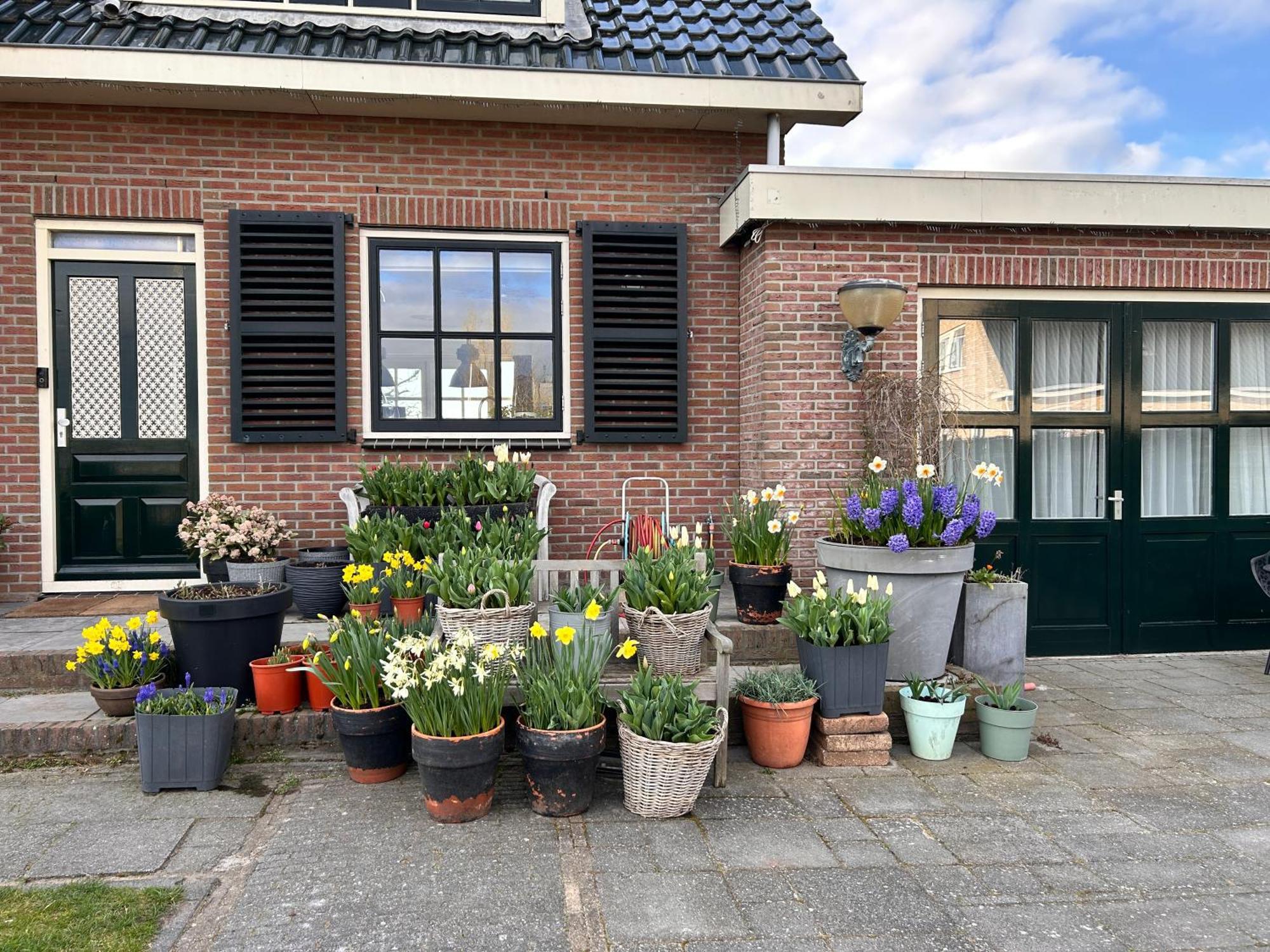 Flowerbed Voorhout ภายนอก รูปภาพ