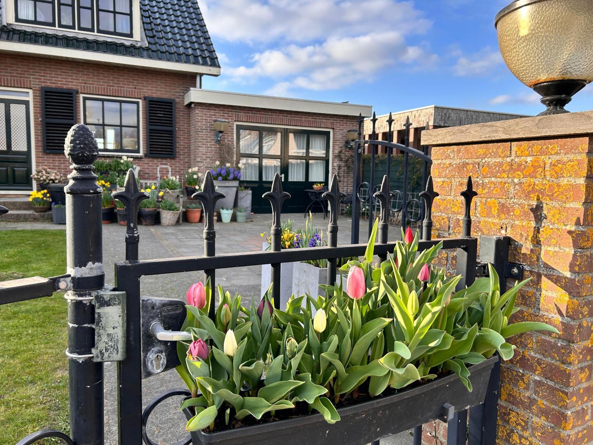 Flowerbed Voorhout ภายนอก รูปภาพ